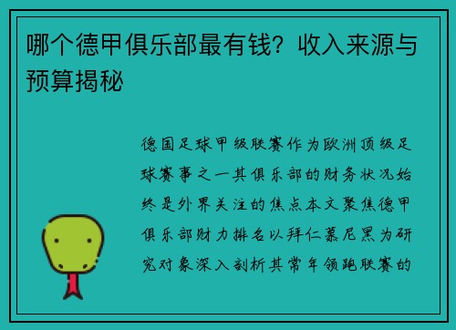 哪个德甲俱乐部最有钱？收入来源与预算揭秘