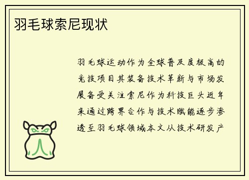 羽毛球索尼现状